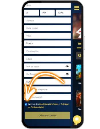 Viggoslots Casino Acceptez les conditions